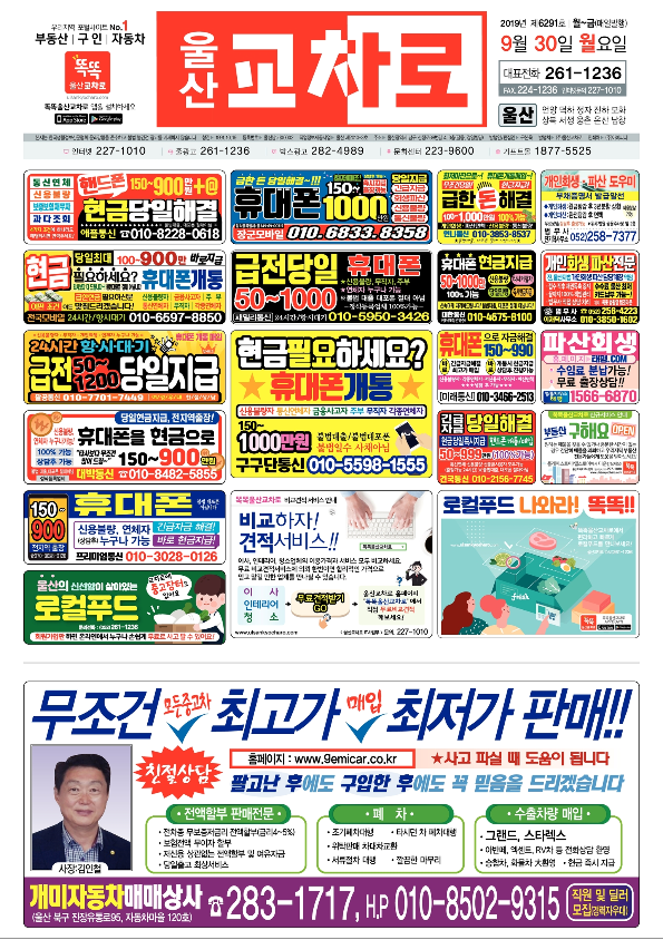 개미상사 이미지