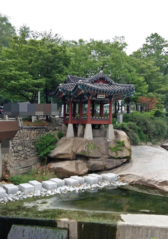 씨더 이미지