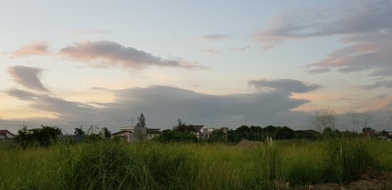 산수장 이미지