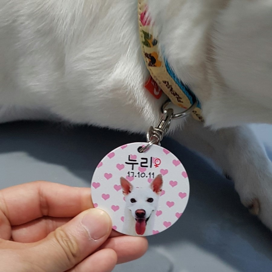누리아르 이미지