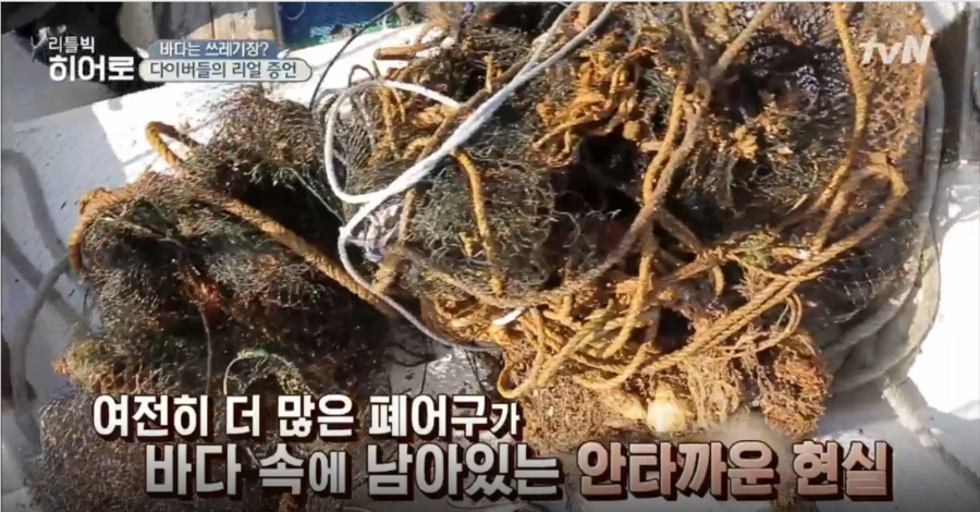 팀레오 이미지