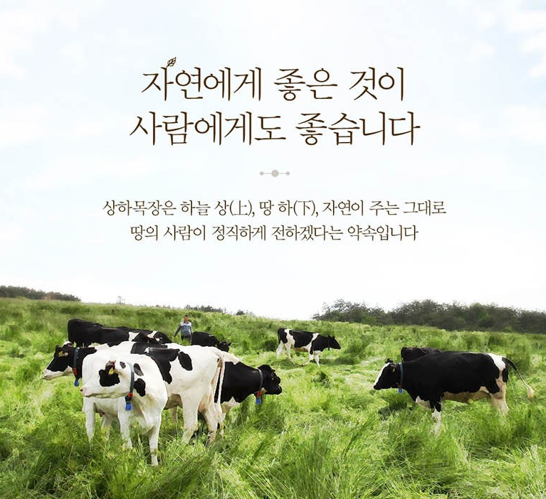 안심목장 이미지