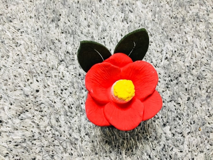 센트레스트 이미지