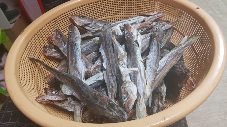 찬숙이네 이미지