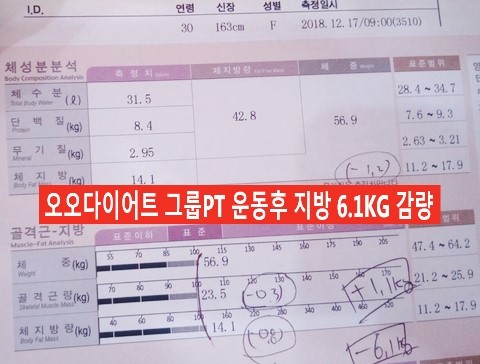 오오다이어트 이미지