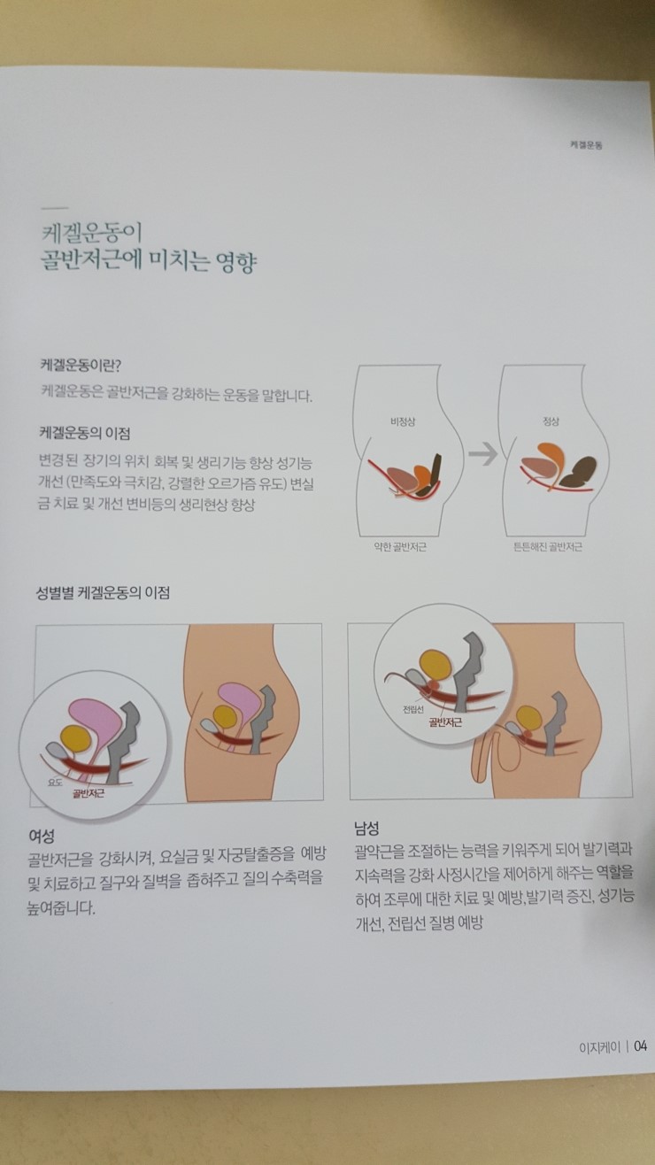이지케이 이미지