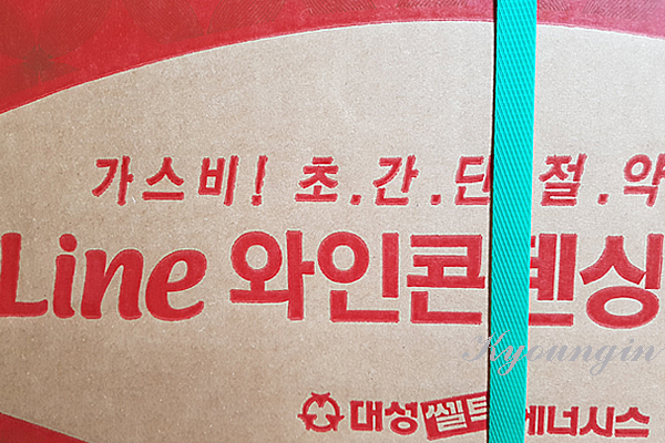 월드DSC 이미지