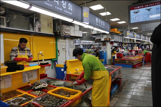 자갈치총각 이미지