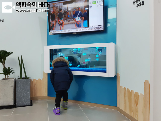 전학수소아청소년과의원 이미지