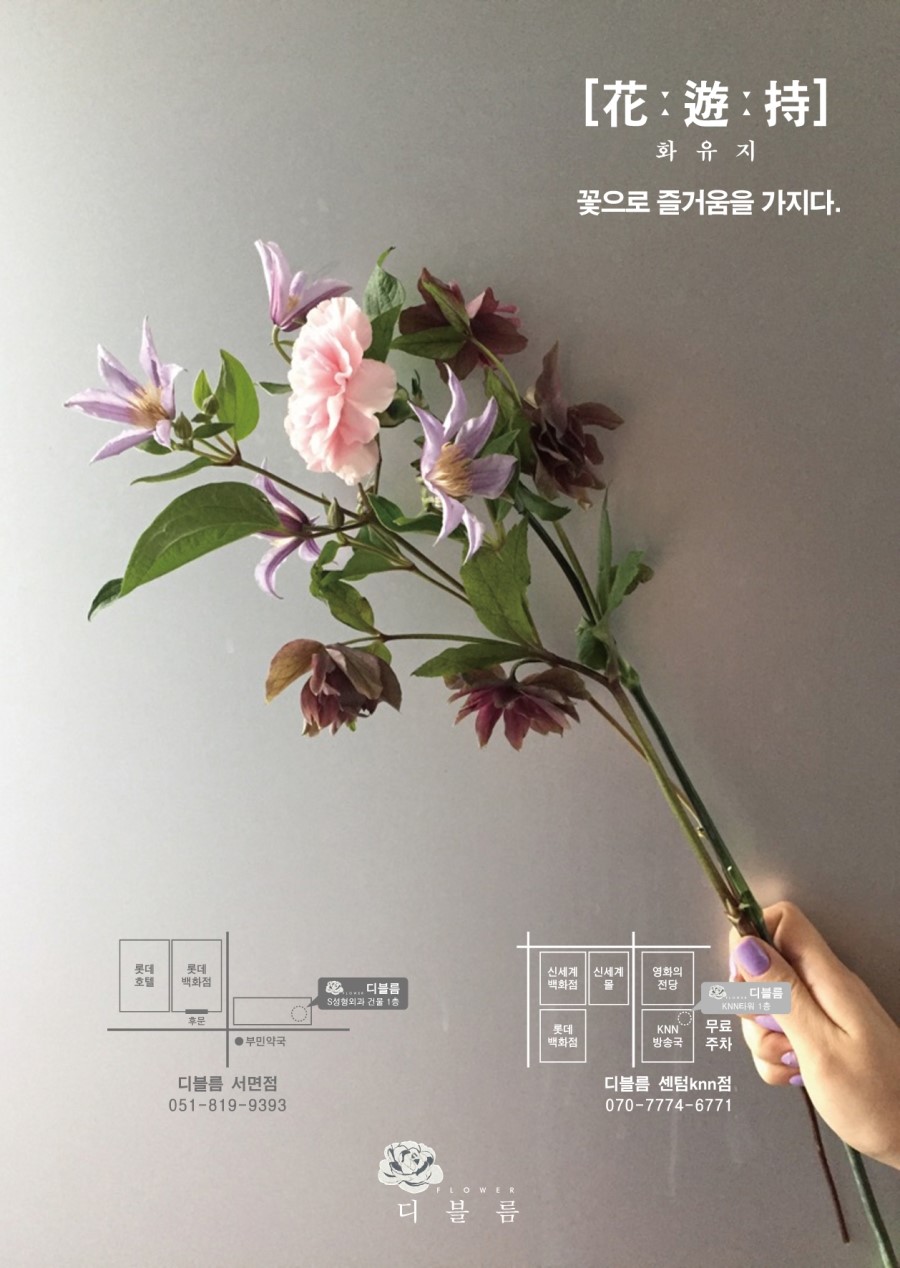 디블름 이미지