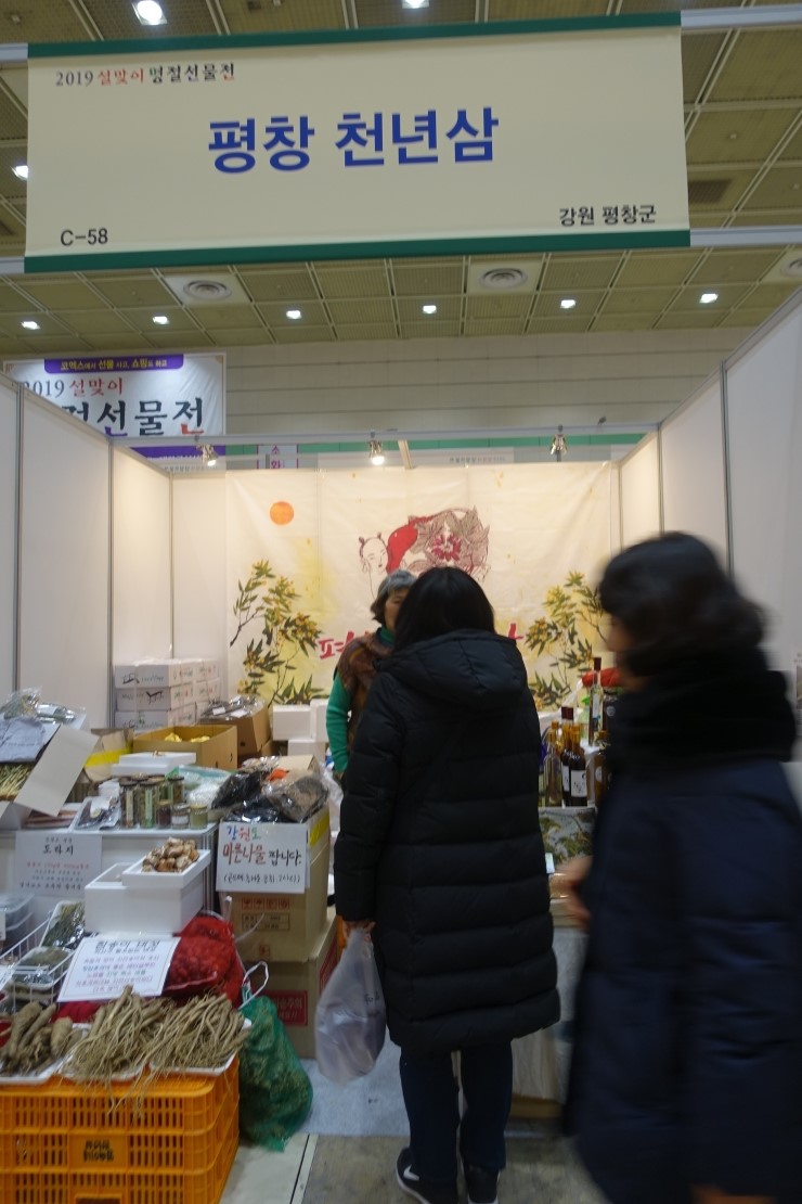 평창천년삼 이미지