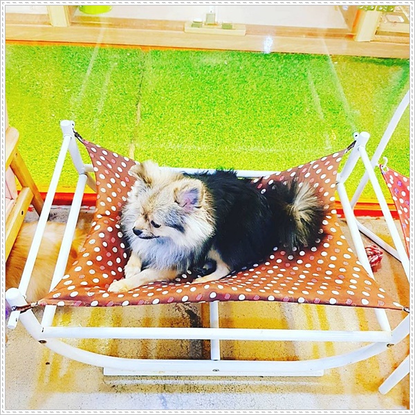 몽이네일 이미지