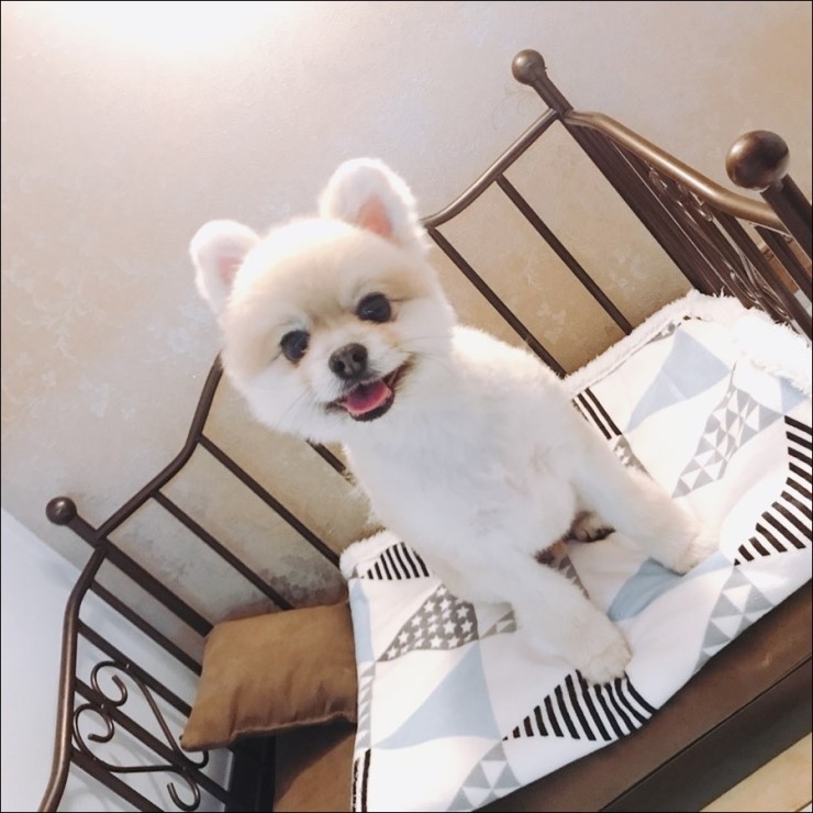 몽이네일 이미지