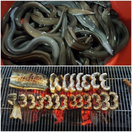 풍천숯불민물장어구이 이미지