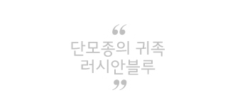 러시안마트 이미지