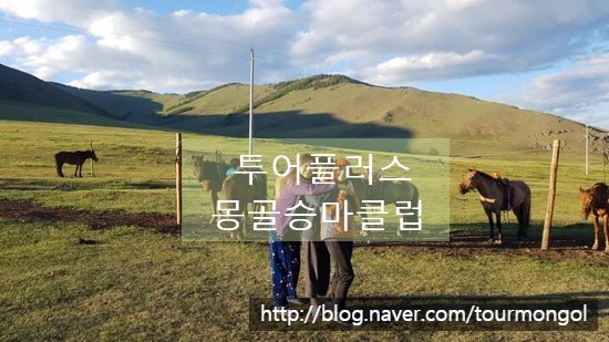 투어플러스몽골여행 이미지