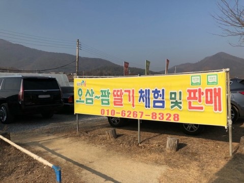 오삼~팜 이미지
