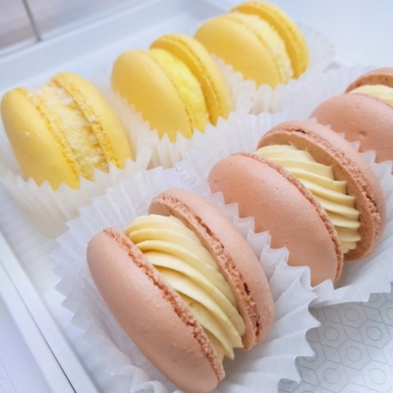 더마카롱 이미지