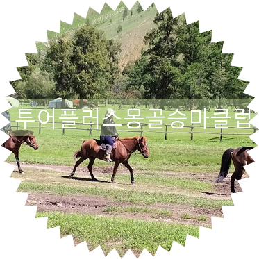 투어플러스몽골여행 이미지
