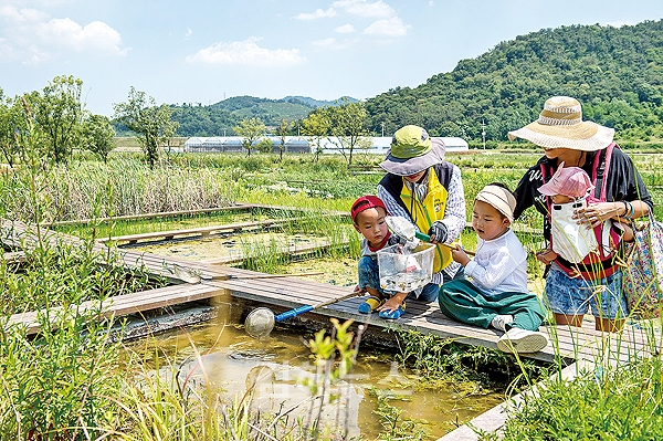 법인도란도란 이미지