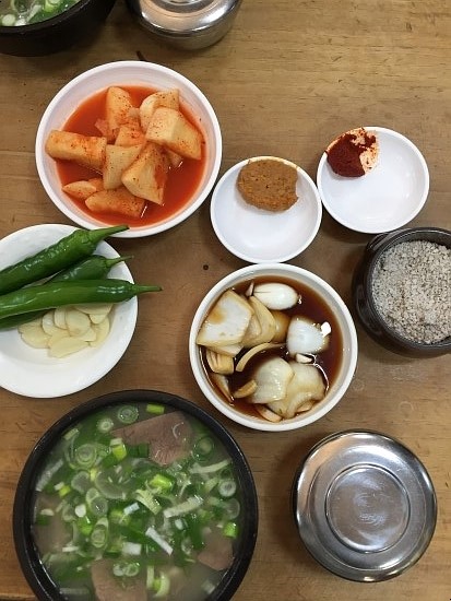 가비정관 이미지