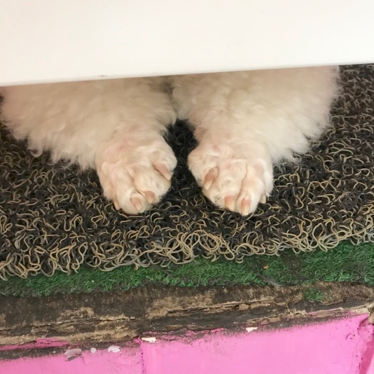 키친베스트 이미지