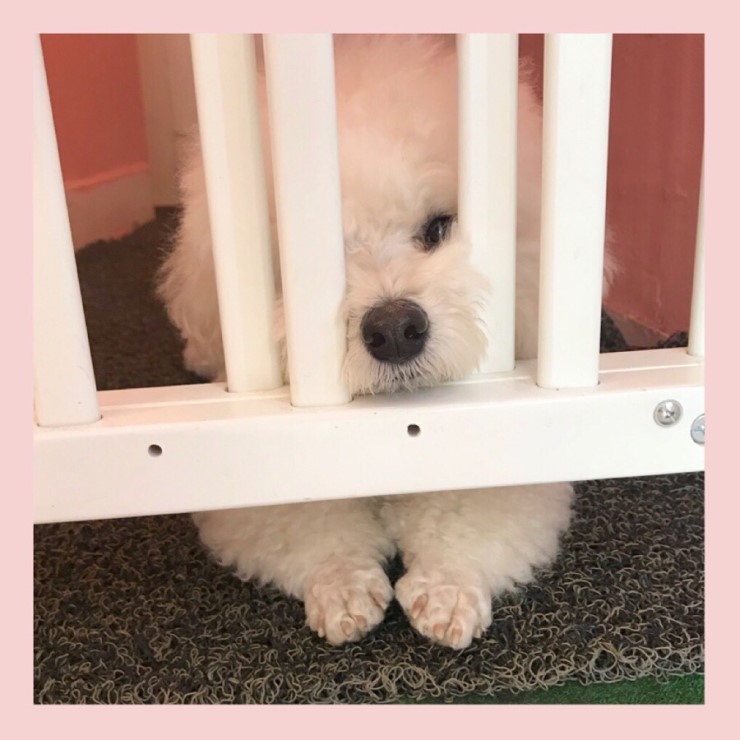 키친베스트 이미지