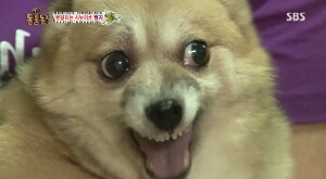 인 이미지