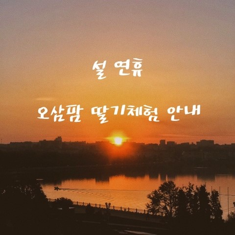 오삼~팜 이미지