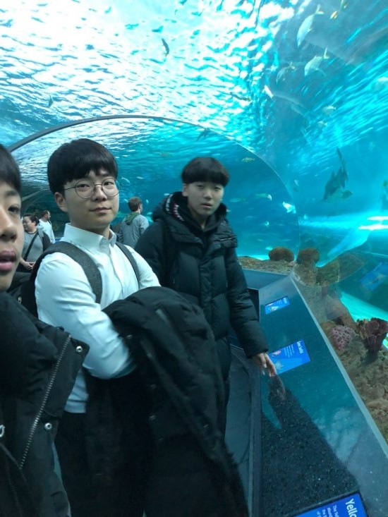 흰여울유학 이미지