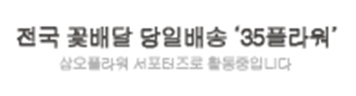 삼오관광 이미지