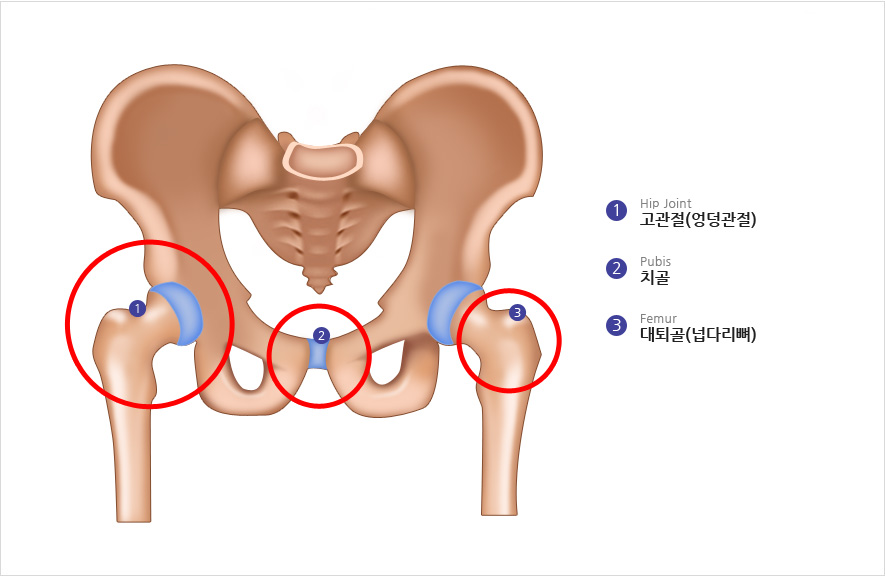 효성시티병원 이미지