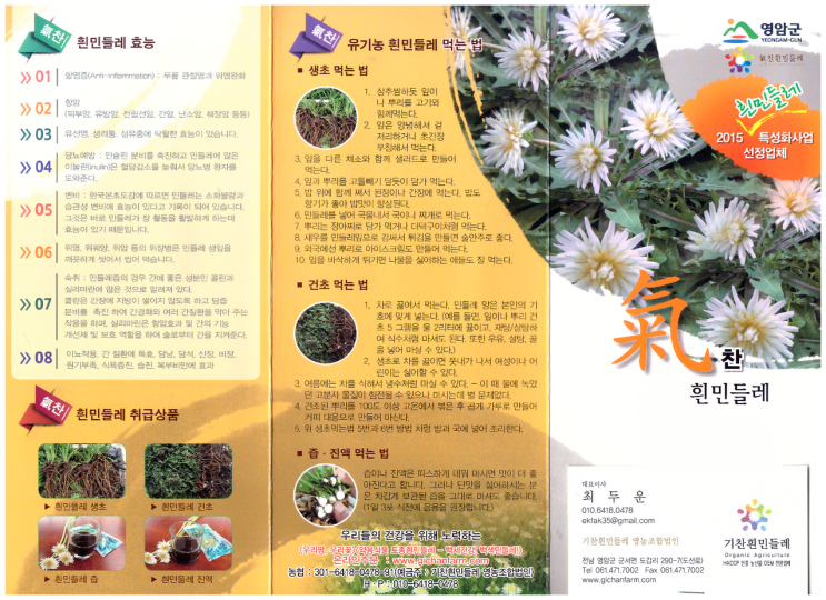기찬흰민들레 영농조합법인 이미지