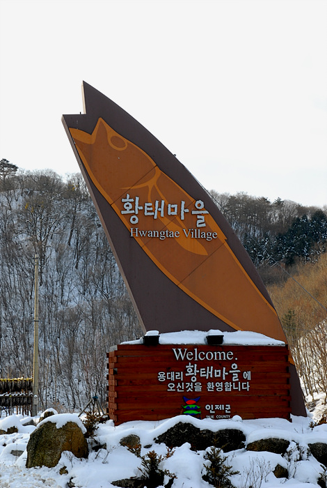 황태마을 이미지