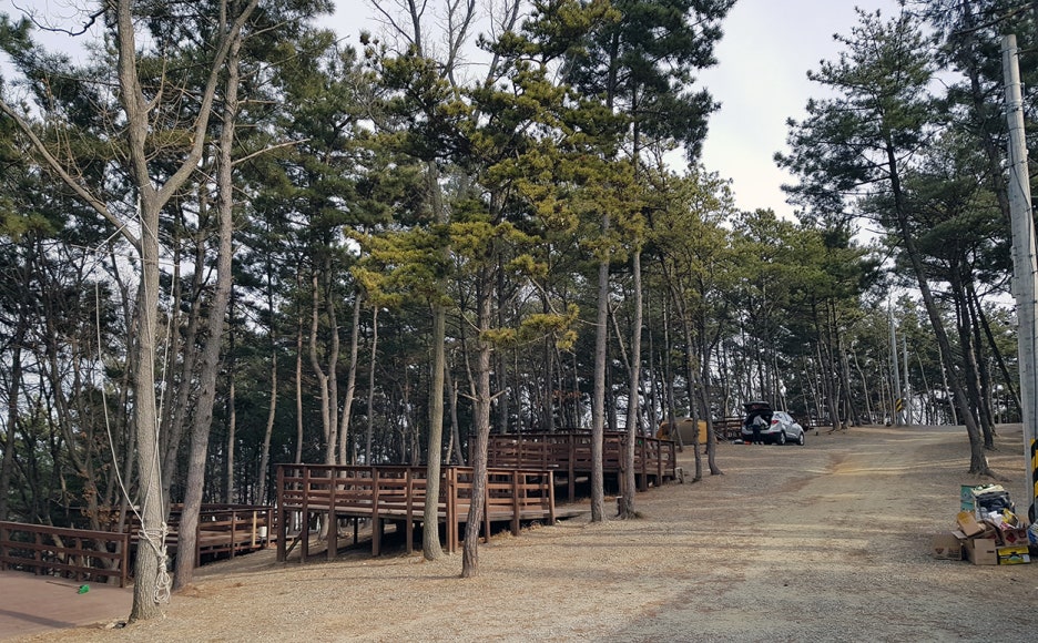 트리캠핑장 이미지