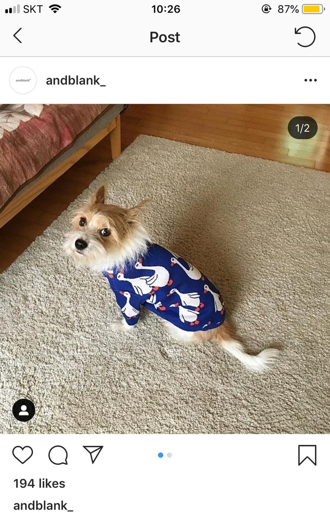 블랭크빔 이미지