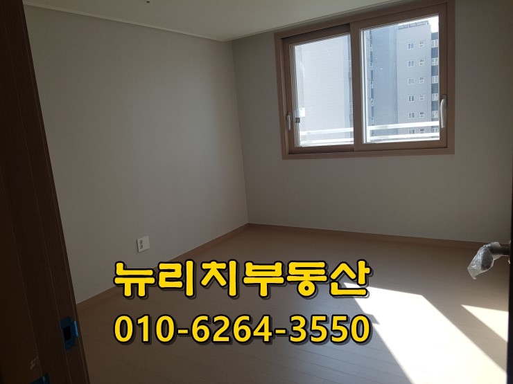 리치사랑방 이미지