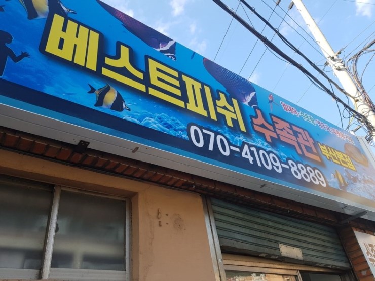 피쉬마트수족관 이미지