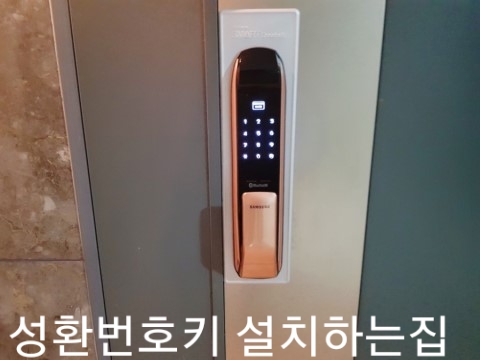 대영구두 이미지