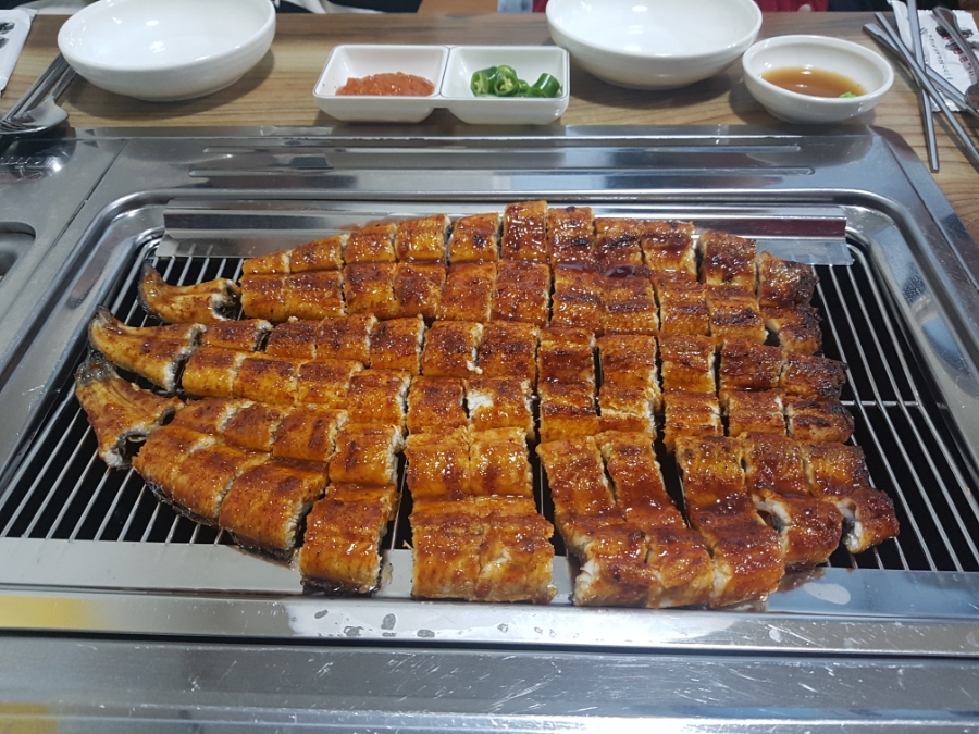 진안마이산장어 이미지