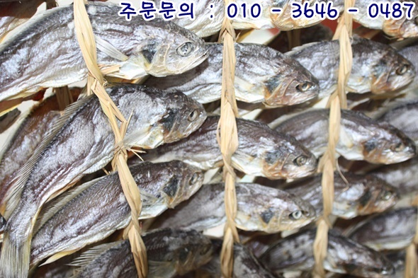 영광냉동 이미지
