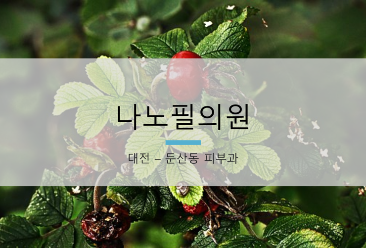 나노필의원 이미지
