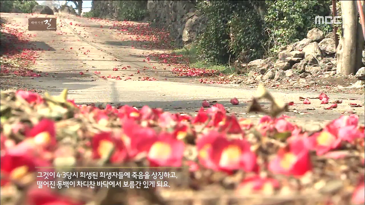 동백고장보전연구회 이미지