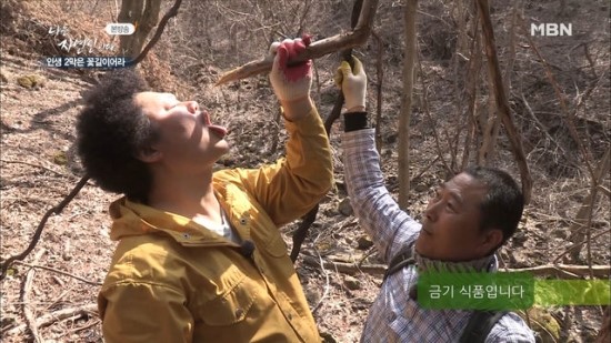 다래식품 이미지