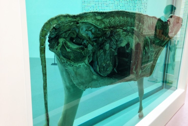 Sac à dos lapin maternelle