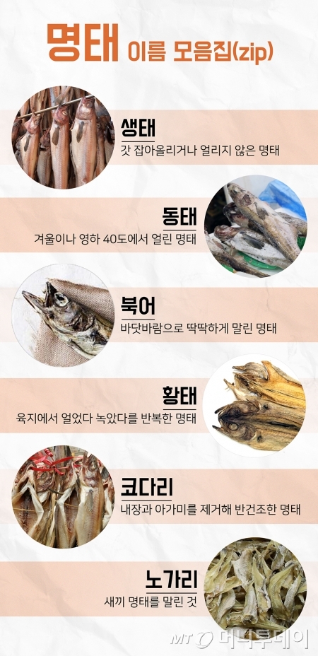 명태사랑 이미지