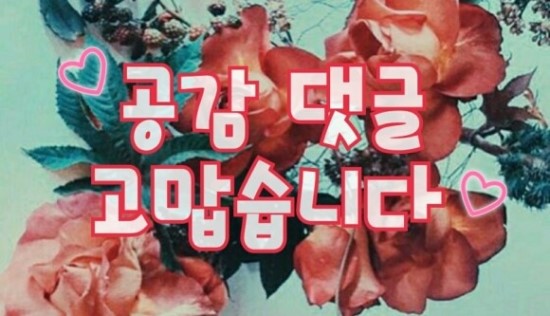 태백낙지촌 이미지
