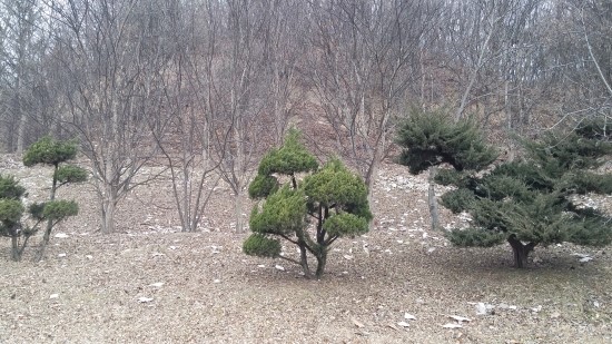 너는나의꽃 이미지