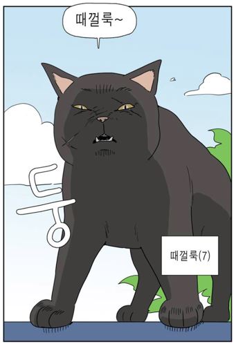 떼껄룩(TAKE A LOOK) 이미지