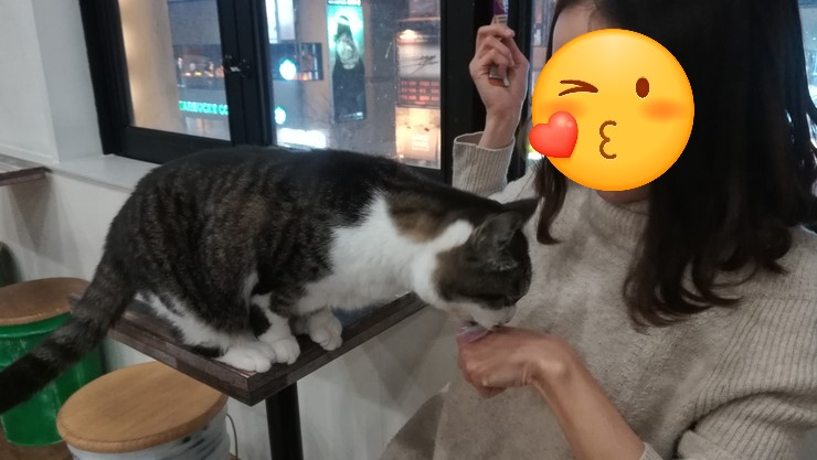 빛나수산 이미지
